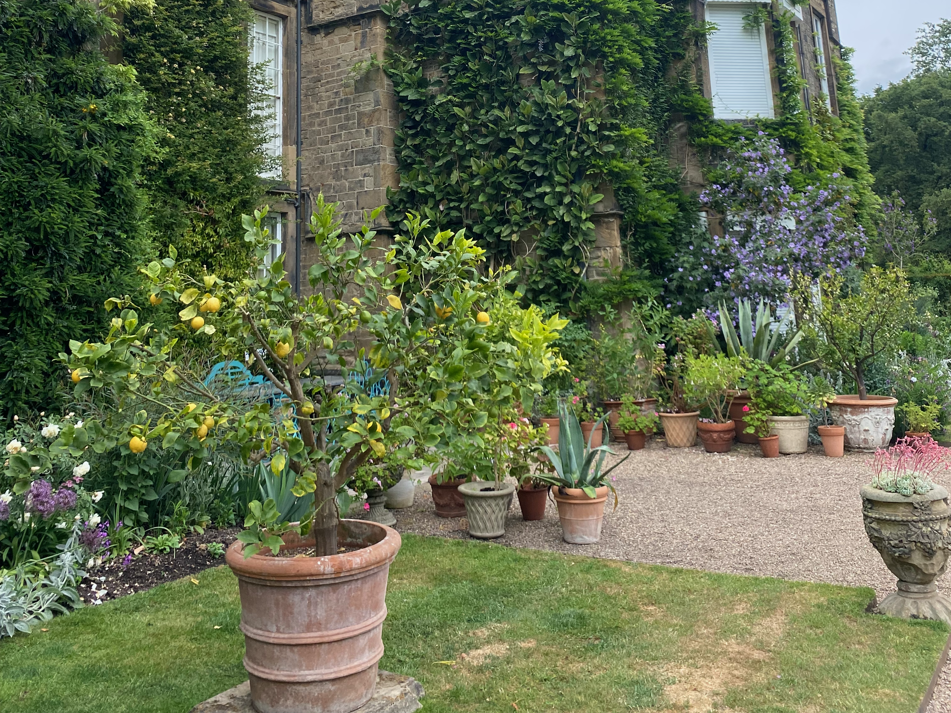The corner of a historic stone building with ivy, featuring intricate architectural details and surrounded by lush gardens and potted plants.