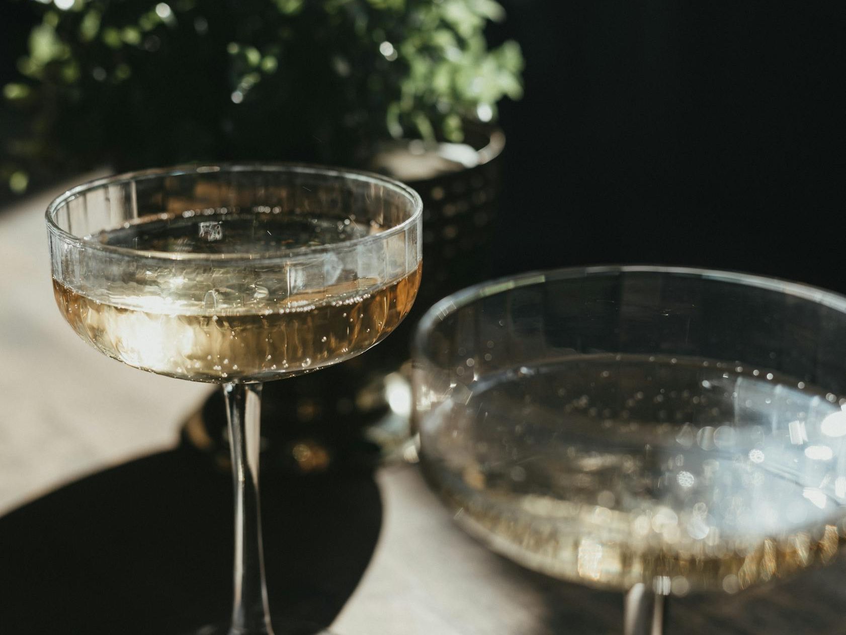 Two elegant champagne glasses filled with sparkling wine, with bubbles visible, set against a dark background with a hint of greenery in the blurred background.