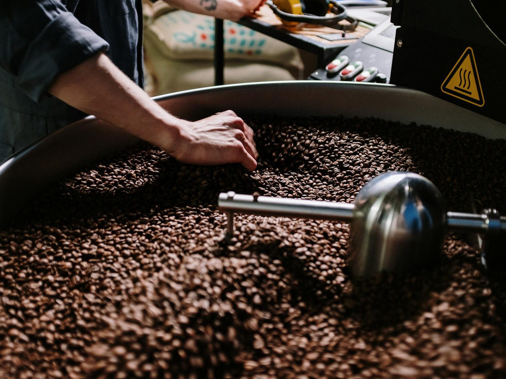 A person's hand inspecting freshly roasted coffee beans in a large metal drum.
